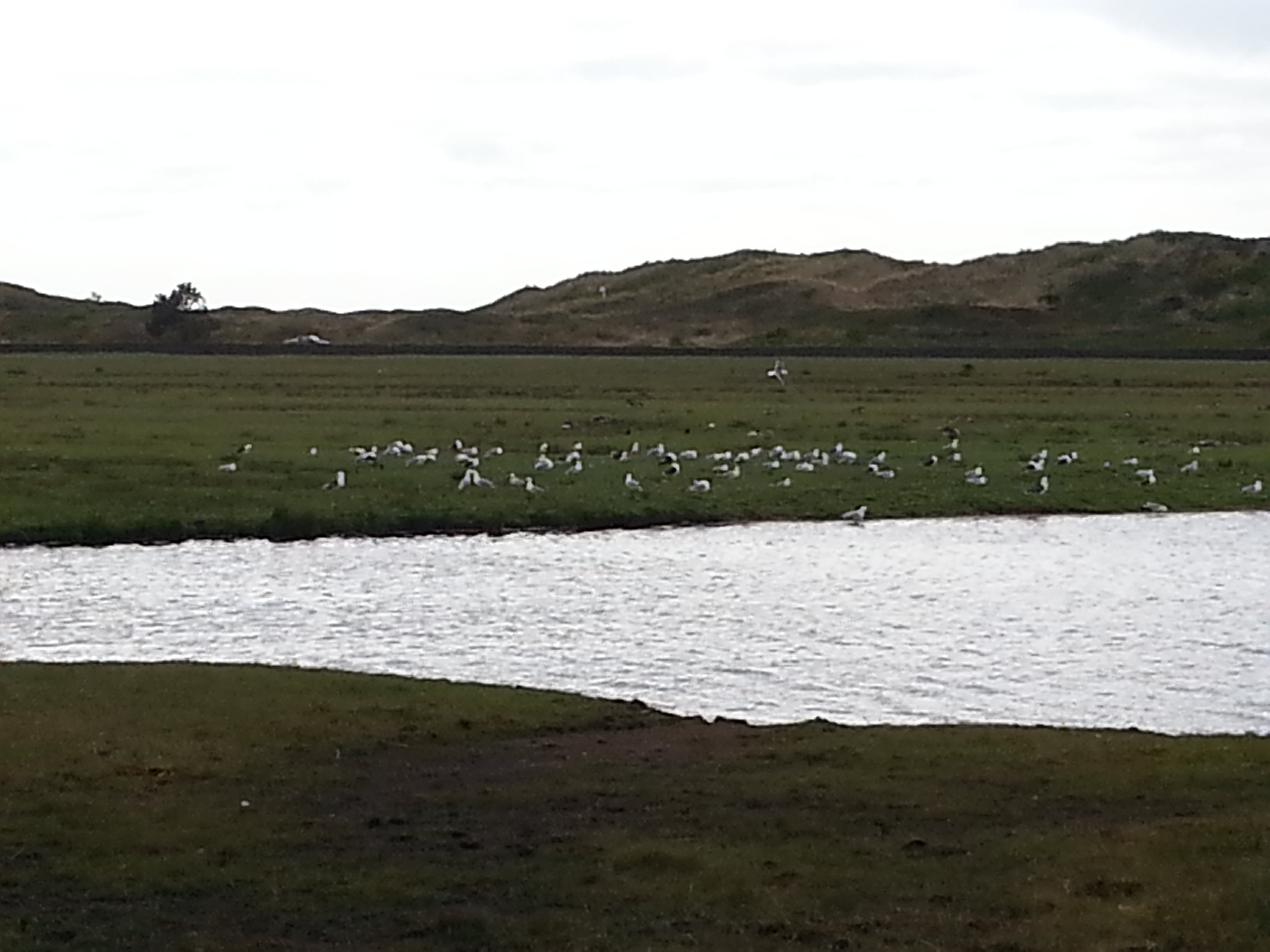 HWK Texel 062.jpg